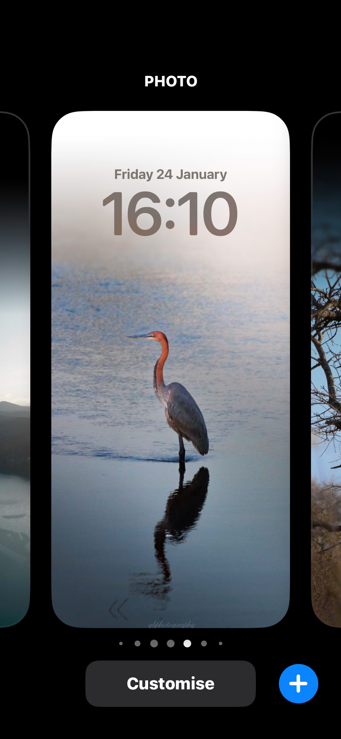 Herron Wallpaper