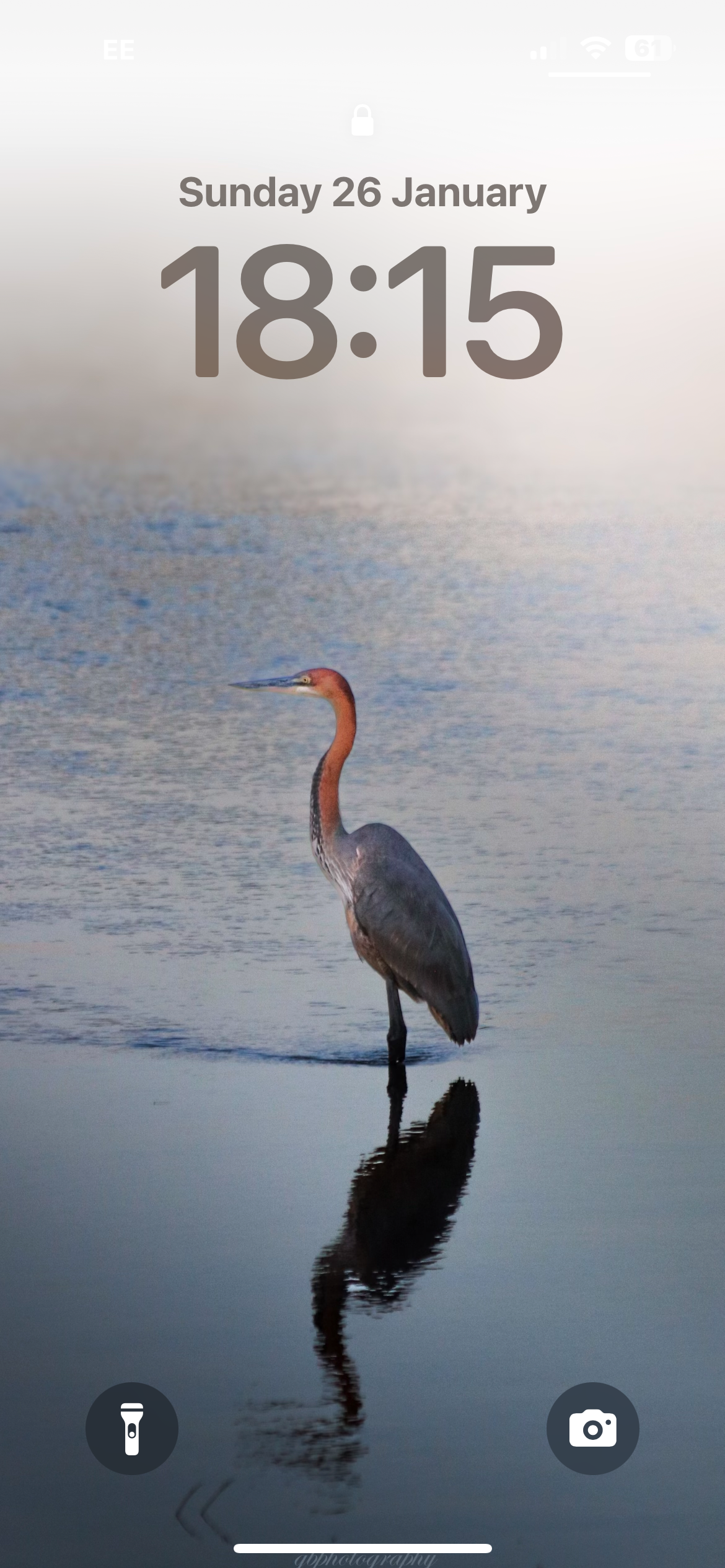 Herron Wallpaper